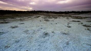 salitre en el piso de un laguna en un semi Desierto ambiente, la pampa provincia, Patagonia, argentina. foto