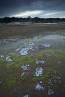 Saltpeter on the floor of a lagoon in a semi desert environment, La Pampa province, Patagonia, Argentina. photo