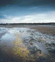 Saltpeter on the floor of a lagoon in a semi desert environment, La Pampa province, Patagonia, Argentina. photo