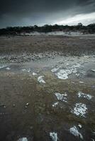 Saltpeter on the floor of a lagoon in a semi desert environment, La Pampa province, Patagonia, Argentina. photo