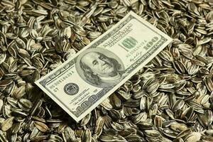 Dollars banknotes and sunflower seeds, oleaginous Commodity value concept. photo