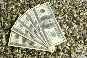 Dollars banknotes and sunflower seeds, oleaginous Commodity value concept. photo