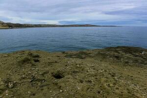 Coastal landscape with cliffs in Peninsula Valdes, World Heritage Site, Patagonia Argentina photo