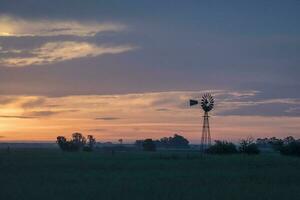 Pampas sunset landscape, La pampa, Argentina photo