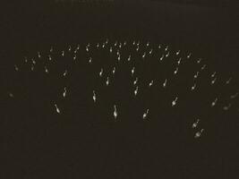 Flamingos in patagonia , Aerial View photo