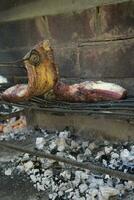 dirigir carne en el parrilla, tradicional argentino cocina, asado parilla, Patagonia, argentina. foto