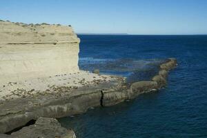 Cliffs landscape in Peninsula Valdes, Unesco World Heritage Site, Chubut Province, Patagonia, Argentina. photo