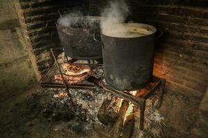 Pig ribbs barbecue , Patagonia, Argentina photo