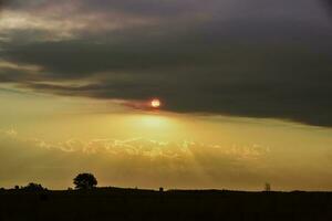 Colorful summer sunset,Pampas, Argentina photo