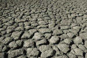 Cracked earth, desertification process,abstract background photo