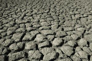 agrietado tierra, desertificación proceso,resumen antecedentes foto