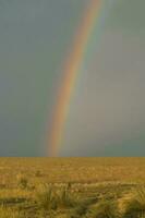 Pampas plain rainbow landscape, Argentina photo