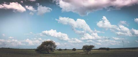 Pampas landscape, Patagonia , Argentina photo