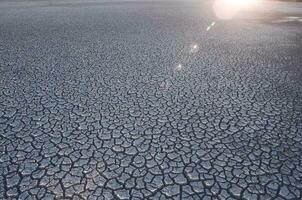 Cracked earth, desertification process,abstract background photo