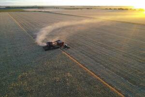 Barley harvest aerial view, in La Pampa, Argentina. photo