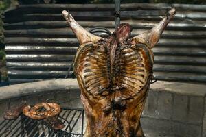 Lamb on the spit, cooked with the traditional Argentine method, La Pampa province, Patagonia, Argentina. photo