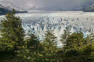 Perito Moreno Glacier, Los Glaciares National Park, Santa Cruz Province, Patagonia Argentina. photo