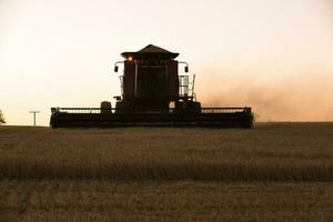 segador máquina, cosecha en el argentino campo, buenos aires provincia, argentina. foto