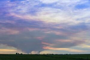 Pampas sunset landscape, La pampa, Argentina photo