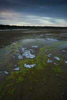 Saltpeter on the floor of a lagoon in a semi desert environment, La Pampa province, Patagonia, Argentina. photo