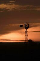 Pampas sunset landscape, La pampa, Argentina photo