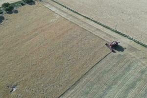 Wheat harvest in the Argentine countryside, La Pampa province, Patagonia, Argentina. photo