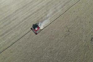 Wheat harvest in the Argentine countryside, La Pampa province, Patagonia, Argentina. photo