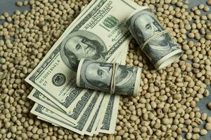 Dollars banknotes and coins and soy beans,oleaginous commoditi value concept. photo