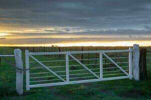 Field gateway in countryside, Buenos Aires province, Patagonia , Argentina photo