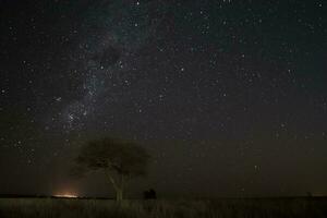 pampa paisaje fotografiado a noche con un estrellado cielo, la pampa provincia, Patagonia , argentina. foto