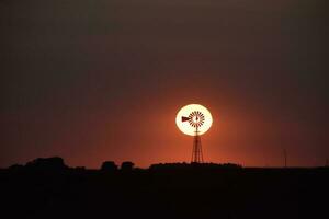 Windmill in countryside at sunset, Pampas, Patagonia,Argentina. photo