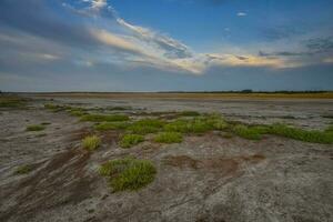 Saltpeter on the floor of a lagoon in a semi desert environment, La Pampa province, Patagonia, Argentina. photo