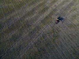 Direct seeding, agricultural machinery, in La Pampa, patagonia, Argentina photo