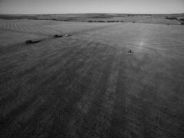 Tractor y maquinaria agricola , sembrando, La Pampa, Argentina photo