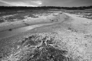 Saltpeter on the floor of a lagoon in a semi desert environment, La Pampa province, Patagonia, Argentina. photo