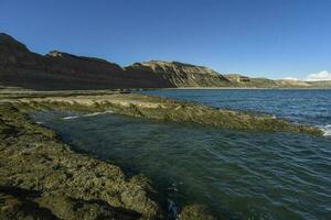 Coastal landscape with cliffs in Peninsula Valdes, World Heritage Site, Patagonia Argentina photo