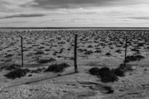 Salty soil in a semi desert environment, La Pampa province, Patagonia, Argentina. photo