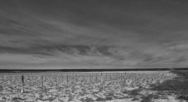 Salty soil in a semi desert environment, La Pampa province, Patagonia, Argentina. photo