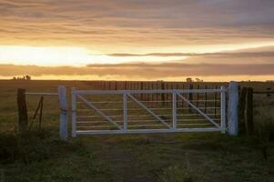Field gateway in countryside, Buenos Aires province, Patagonia , Argentina photo