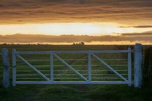 Field gateway in countryside, Buenos Aires province, Patagonia , Argentina photo