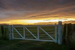 Field gateway in countryside, Buenos Aires province, Patagonia , Argentina photo