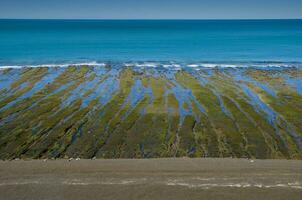 Stone shoal at low tide, Caleta Valdes, Peninsula Valdes, Patagonia, Argentina photo