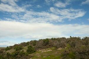 Patagonia Landscape, Chubut Province, Patagonia, Argentina. photo