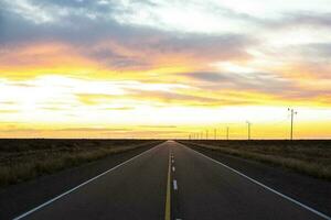 Route in Peninsula Valdes, Chubut Province, Patagonia, Argentina. photo