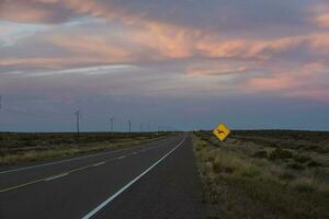 Route in the Pampas plain, Patagonia, Argentina photo