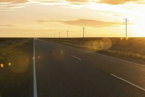 Route in the Pampas plain, Patagonia, Argentina photo