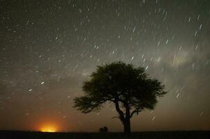 Pampas night landscape ,  La Pampa province, Patagonia , Argentina. photo