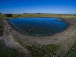 Pampas lagoon, aerial view photo