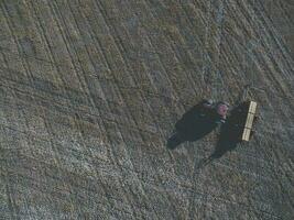 tractor y sembradora, directo siembra en el pampa, argentina foto