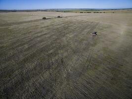 Direct seeding, agricultural machinery, in La Pampa, patagonia, Argentina photo